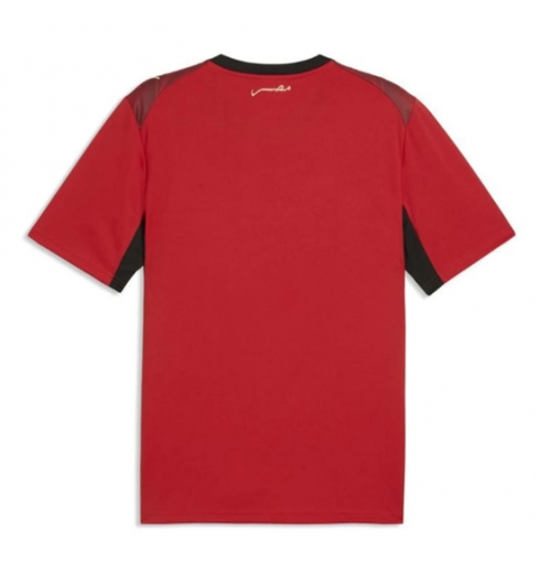 Egypte Thuis tenue WK 2026 Korte Mouw 2 Egypte Thuis tenue WK 2026 Korte Mouw 2