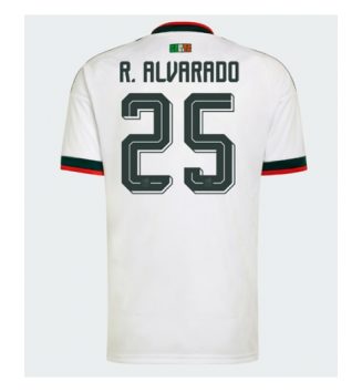 Mexico Roberto Alvarado #25 Uit tenue WK 2026 voetbaltenue met naam Mexico Roberto Alvarado #25 Uit tenue WK 2026 voetbaltenue met naam
